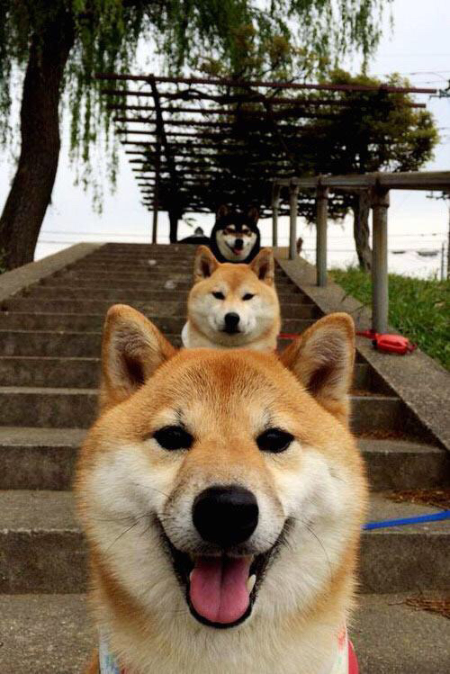 欧联杯战报与西甲风云，勒沃库森轻取AC米兰，加维状态火热引领青春风暴