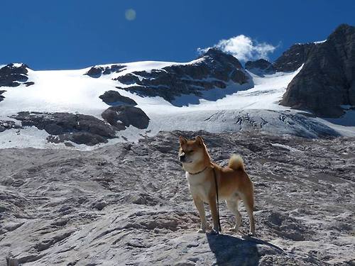 当利爪遭遇长城，胡金秋一柱擎天，鹈鹕力克北京队