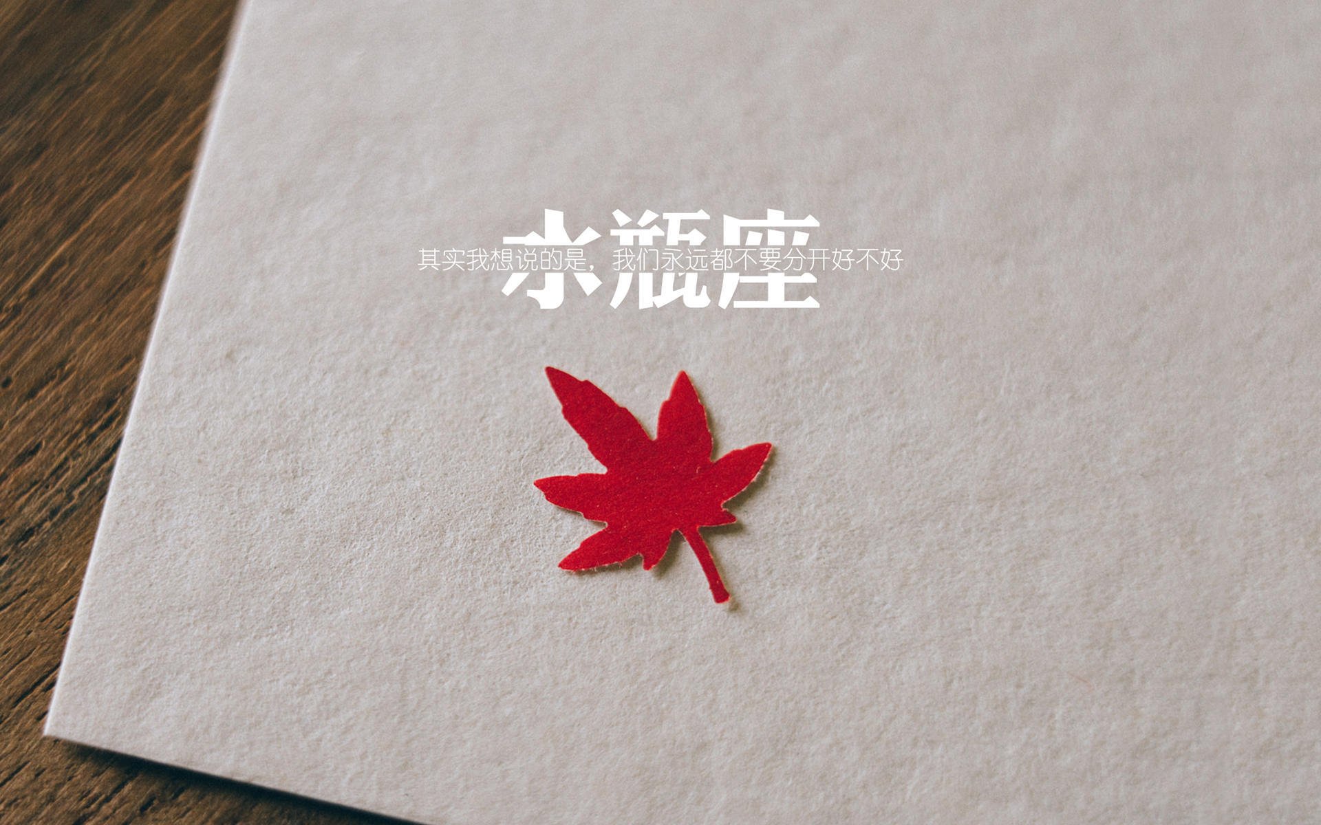 澳网热身赛的希腊风暴，西西帕斯横扫联合杯，独木成林的领袖之路