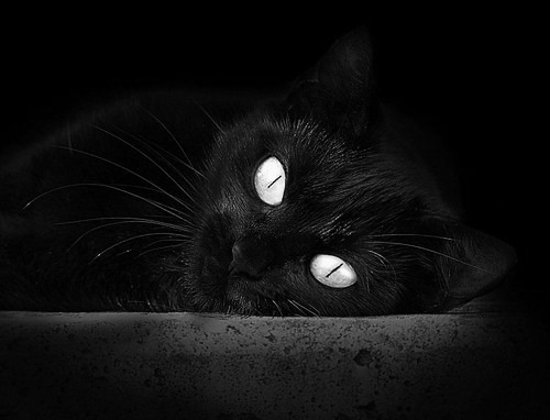 银色战马对跃马的逆袭，威廉姆斯历史性崛起，维斯塔潘烈焰燃尽赛道