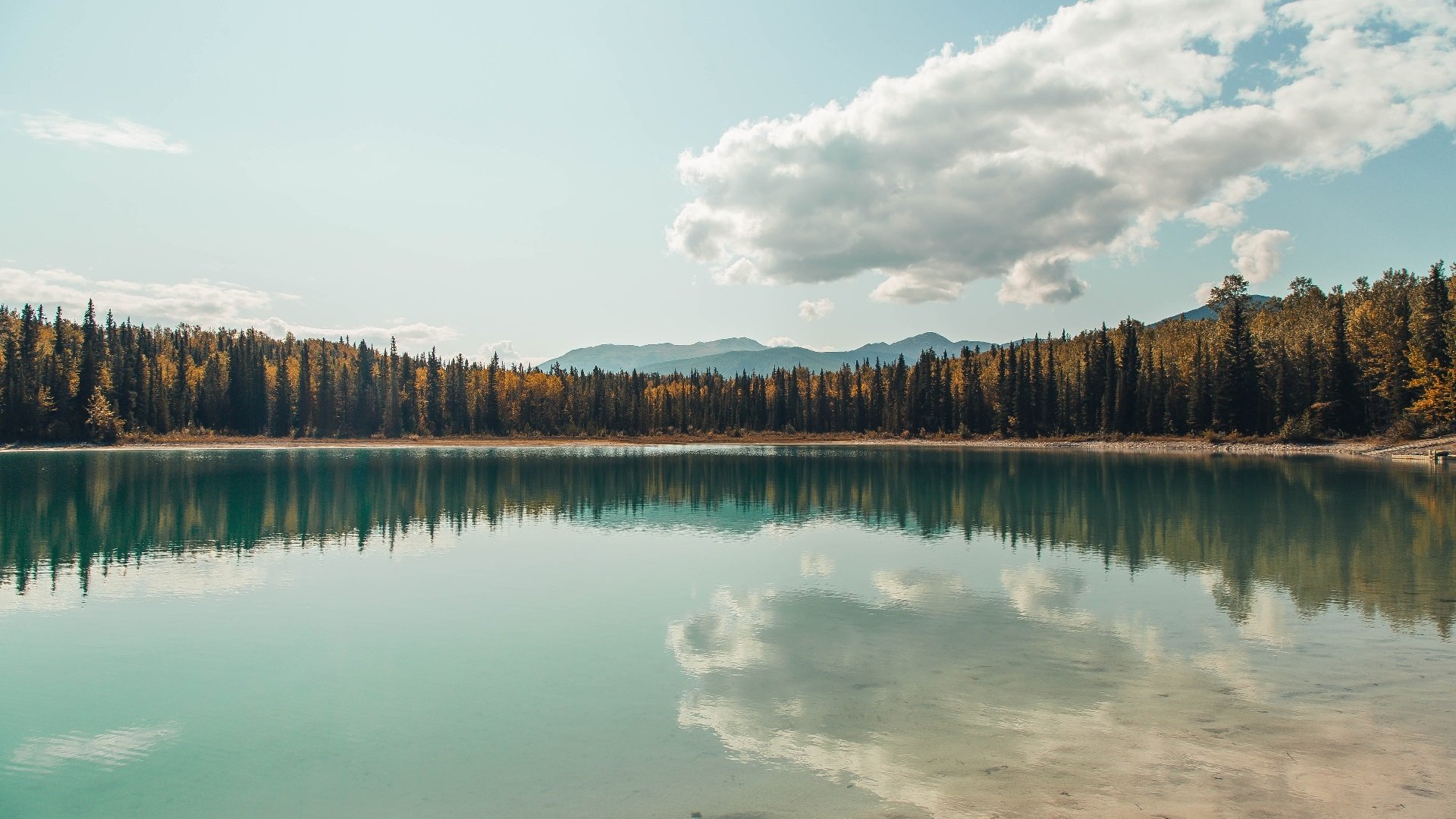 红色风暴席卷北欧，曼联完胜瑞典，范戴克用另一种方式刷新纪录