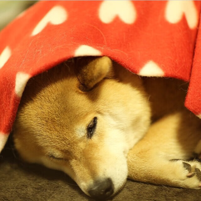 黄金五分钟!恩比德末节独揽16分,掘金逆转北京队惊险过关 巨星时刻!恩比德关键节点连飙三分+强攻内线,诠释决胜时刻统治力