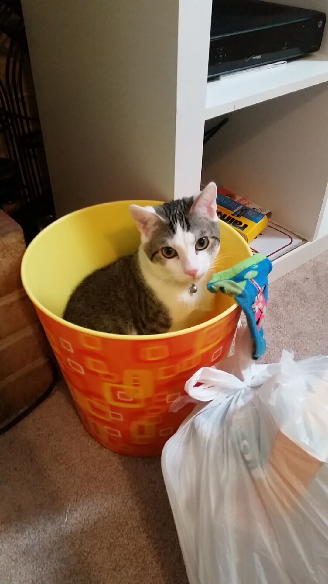 沉寂三年终爆发！武切维奇43+17一雪前耻，东决关键战化身广厦定海神针