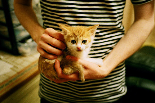 一剑封喉!米切尔终场前1.7秒极限抛投绝杀,尼克斯窒息时刻逆转奇才