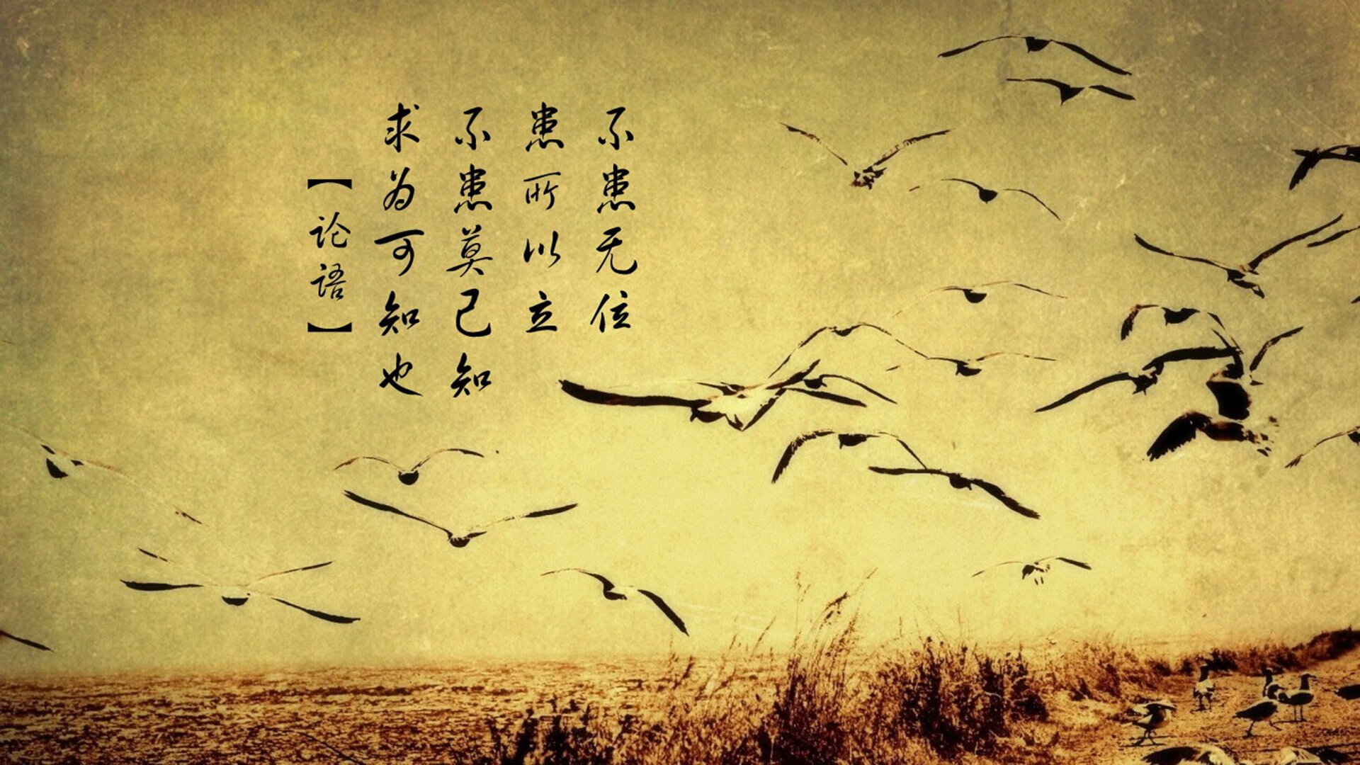 认知裂痕，那场勒沃库森对瑞典的比赛，与场上唯一的卡塞米罗