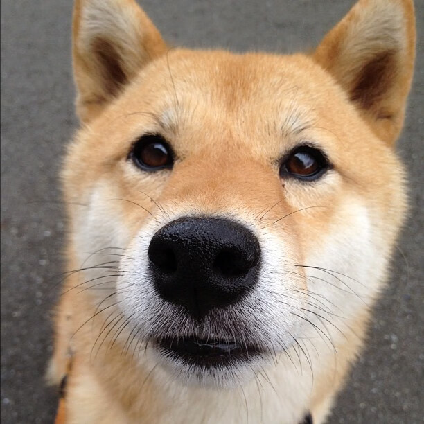 命运选中切特，广厦一夜击溃雷霆，沉默少年成唯一主宰