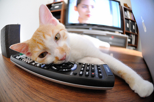 格列兹曼的即兴艺术与比利时的精密仪器，一场战术美学的两极对话