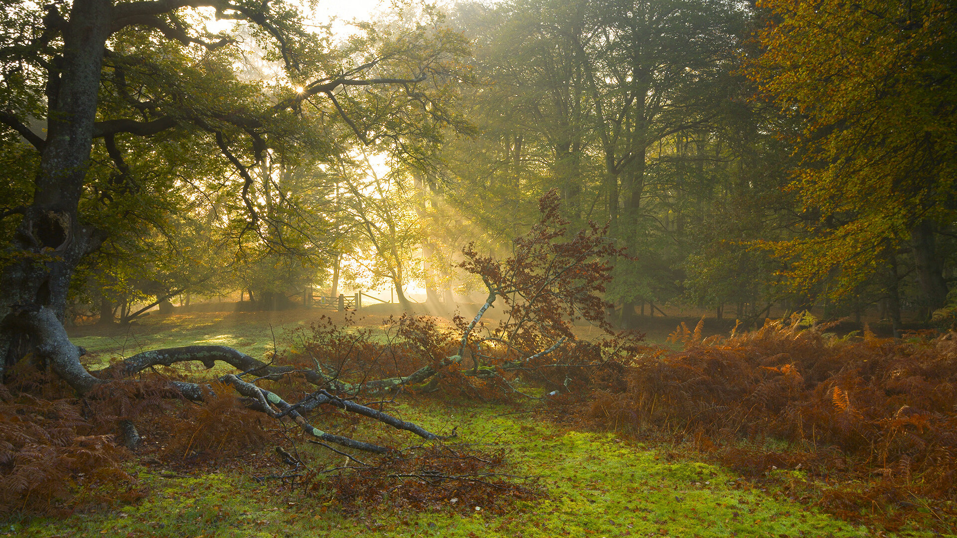 库尔图瓦之夜，当门将成为终结者