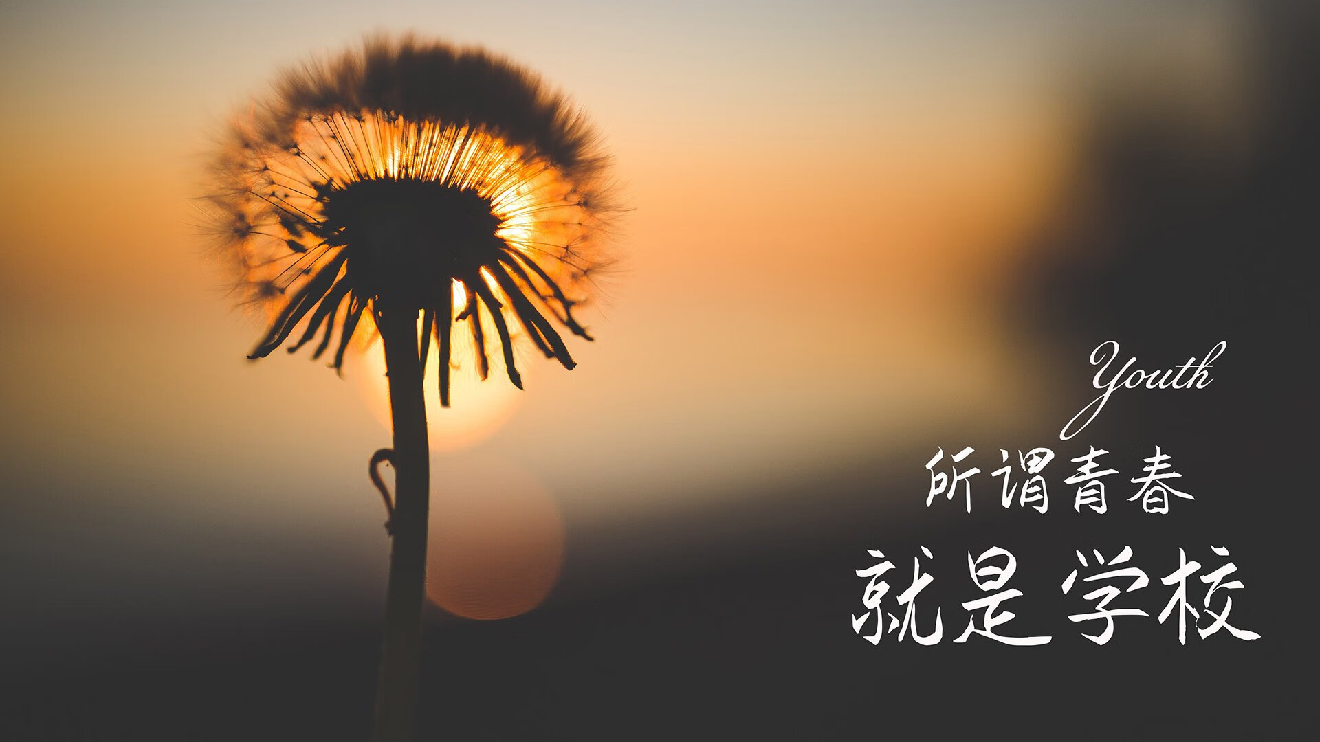 这是一篇基于您提供的核心关键词（2026世界杯E组、波兰击败葡萄牙、拉什福德致命一击）创作的文章。文章构建了一个充满戏剧性、战术博弈和情感张力的平行宇宙